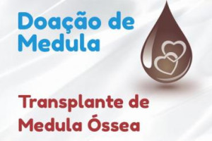 Transplante de Medula �ssea